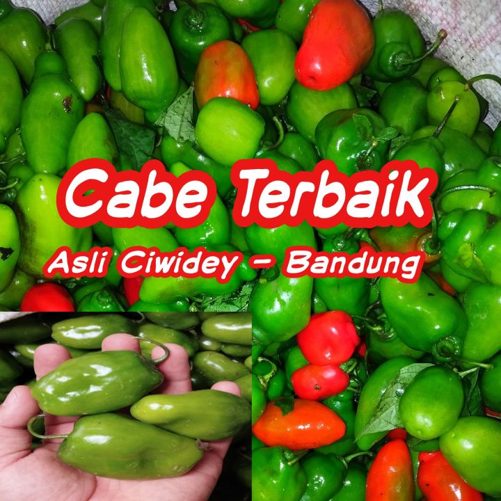 Termurah 1 KG Cabe Gendot , Cabe Bendot Ciwidey , Cabai Gendot 1 Kg