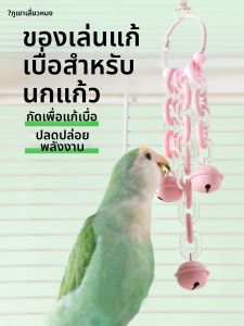 XIAONONGSHAN | Entertainment and Teeth Grinding Parrot Toy