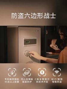 Fingerprint and Password Safe Large