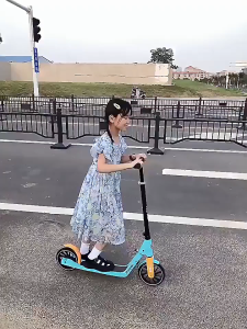 🇸🇬 [In Stock]Scooter Adult Teen Kick Scooter Foldable From Age 7 To Adult Built in hand brake with 8 inches wheels