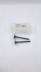 Klep Set KLX 150 Set isi 2 (KNZ) Valve Set In Out Ex Payung Klep Kawasaki D Tracker KLX 150 BF