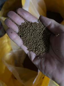 Thức ăn dạng nổi mảnh dành cho cá 7 màu và các loại cá kiểng nhỏ đạm tiêu hóa 45% ( gói 1kg)