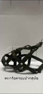 Pets Perfect ตะกร้อครอบปากสุนัข หนาพิเศษ กินน้ำได้ สินค้าคุณภาพดี