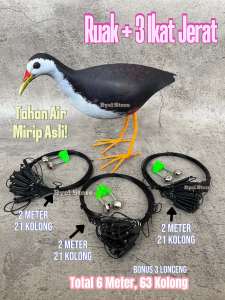 Jebakan Racik Burung Ruak Ruak Jerat Wakwak