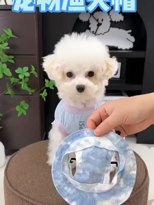 PetCoCo 🐾Pet Bucket Hat Logo Cute Hat Cat & Dog | 猫咪渔夫帽无毛猫太阳帽夏季防晒露耳朵狗狗牛仔帽子宠物奶牛