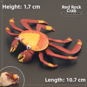 MENGSILE | Cognitive Gift Ocean Animal Toy Model Red Stone Crab