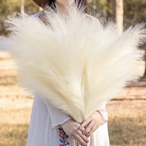 88HomeStore: Artificial Reed Grass & Pampas Grass Bouquet for Home & Event Decor