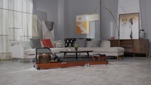 (Limited Time Free Gift) Kingsmith WR1 Foldable Water Rowing Machine