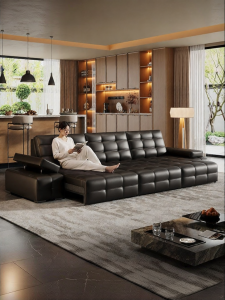 LFF | Electric Reclining Adjustable Genuine Leather Sofa Bed