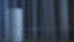 【1 Year Warranty】Xiaomi Mijia Smart Dehumidifier 22L Smart Hygroscopic Dryer Low Noise Moisture Absorption Home Bedroom