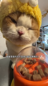 Đồ Chơi Tương Tác Hình Vịt Vàng Cho Chó Mèo Đồ Chơi Thả Hạt Thức Ăn Cho Thú Cưng
