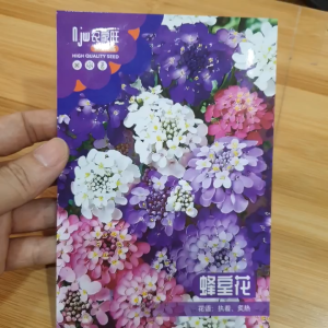 Nguyên gói khoảng 250-300 hạt giống hoa Ngọc Trai hạt hoa Ngọc Trai nhiều màu - Hoang My food and beauty