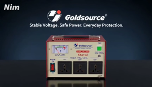 SVC Automatic Voltage Regulator with Time Delay | 500TD 1000TD 1500TD | 160-240V Input | 110V & 220V Output