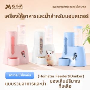 YUEXIAOMENG | 2-in-1 Automatic Feeder & Waterer