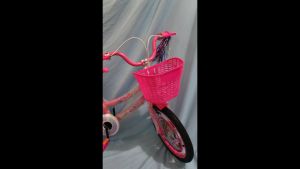 Sepeda Mini Anak Perempuan 16 Inch Velion 106 Termurah