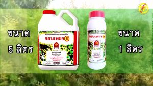 สารเร่งดอกลำไย ชนิดราดทางดิน จอบเพชร 2 ขนาด 5 ลิตร สารราดทางดิน (สีน้ำตาล)