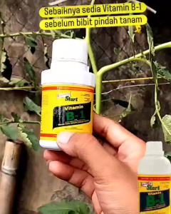 PUPUK B1 LIQUINOX START 470ML - OBAT ANTI STRESS TANAMAN