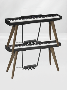 Casio | Adult Beginner Home Electronic Piano 88-Key Weighted Keys