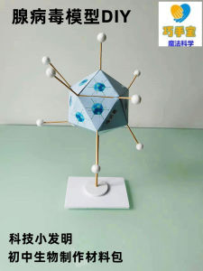 Middle School Science Experiment DIY Adenovirus Model Kit Elementary School Handmade Craft Materials Pack Boys & Girls Educational Toy