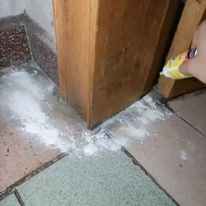 One Infected Whole Nest Died Termite Killer Powder 75g Unflavored Termite Bait Insecticide