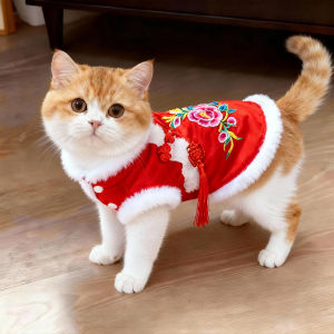 Petone dOrage | Warm and Anti Shedding Cat Clothing