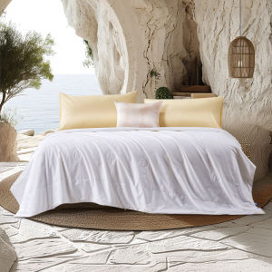 FUANNA (富安娜) | Silk Quilt Duvet Insert for All Seasons Two-in-One