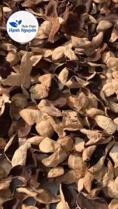 Trần bì tân hội 100g vỏ quýt khô 10 năm hỗ trợ giảm ho đầy bụng tốt cho tiêu hóa chống lão hóa