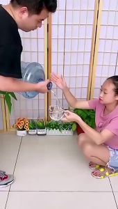 Pompa Galon Elektrik & Dispenser Air Smart: Solusi Praktis Untuk Air Minum Anda