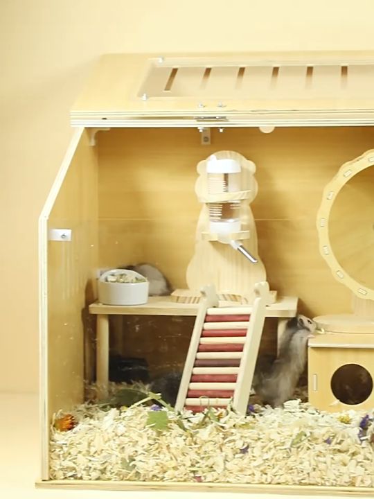 (Full Set)Hamster Guinea Pig Golden Bear Hedgehog Small Pets Luxury