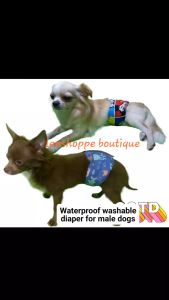 Washable Belly Diapers for Male Furbabies: A Comprehensive Guide