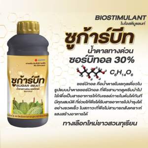 ซูก้าร์บีท น้ำตาลทางด่วนสำหรับทุเรียน น้ำตาลซอร์บิทอล ขนาด 1 ลิตร ดวงตะวันเพชร ช่วยบำรุงต้นใบ และ บำรุงผลเพิ่มความหวาน
