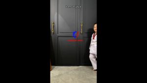 BAJU TAEKWONDO BELADIRI ANAK PAKET 1 STEL BAJU - CELANA - FREE SABUK