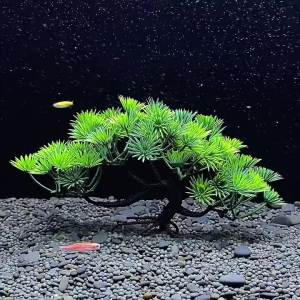 Plastic Artificial Pine Tree Underwater Plant Water Grass Simulated Plant Fish Tank Landscaping