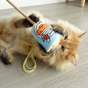 PURLAB Ramen Cat Stick เบ็ดตกแมว ถ้วยราเมง เส้นยาว ใช้เหวี่ยงเล่นกับแมว ทำจากผ้านุ่ม ทนทาน ลายน่ารัก ไม้ตกแมว