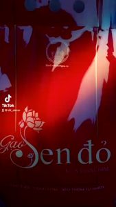 Gạo Sen Đỏ tiến vua thương hạng Túi 5kg - Giá sỉ date mới Gạo Thơm An Toàn Hữu Cơ Gạo Không Hóa Chất Tạo Mùi - Lazada