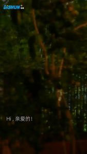 太阳能户外景观灯：欧式伞灯、蜡烛风格，装饰庭院美景 Solar Outdoor Landscape Lights: European Umbrella Style Candle-like Design Enhancing Courtyard Scenery