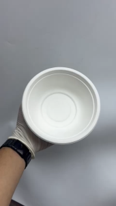 (50Pcs) Biodegradable 350ml Bowl / 500ml Bowl / Sugarcane Bowl /Bio Bowl/Party Bowl /Disposable Bowl