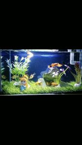 Rumput Sintetis 25x25 Swiss 3cm Untuk Aksesoris Aquarium