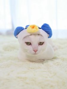 Funny Pet Headgear: A Guide to Cute Cat & Dog Hats