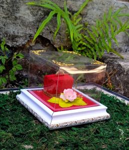 TEMPAT CINCIN TUNANGAN PERNIKAHAN PRODUKSI JUNIOR MAHAR