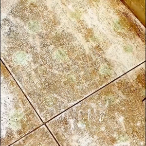 น้ำยาขัดกระเบื้อง น้ำยาล้างห้องน้ำ น้ำยาขจัดคราบห้องน้ำ ล้างห้องน้ำ ของใช้ในบ้าน หินแกรนิต กระเบื้อง ขจัดคราบฝังลึก คราบกาแฟ น้ำมัน เครื่องปรุง คราบตะกรัน 2500มล.