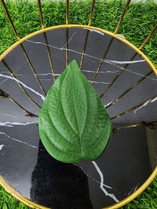 Daun Sirih Plastik /Artificial Betel Leaf Leaves /50 Pcs Per Pkt Daun Sirih /Sirih Junjung /Hiasan Pelamin /Hiasan Hantaran.