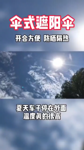 Ultimate Guide to Front & Rear Windshield Sunscreen