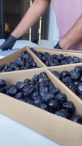 Kurma Ajwa/Mix Edisi Khas Ramadan - 1000g/500g/5kg - Snack Food