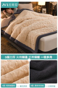 Thickened Taslan Velvet Blanket Afternoon Nap Sofa Cover Winter Office Lamb Velvet Warmth Heat Retention Modern Simplicity