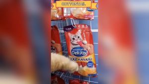 Deli-Joy Sendok Deli - Joy Spoon Snack 10g x 4pcs Snack Makanan Kucing Premium Snack Kucing Premium
