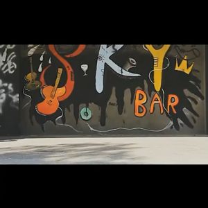 Skateboard for Beginners Men and Women Gift for Beginners Adult Children Youth Professional Skateboard