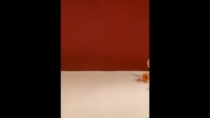 Hộp đựng quà tặng hộp quà cưới hộp đựng kẹo kèm ruy băng Pastel có tay cầm phong cách Hàn Quốc