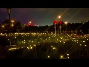 1~2Pcs Solar Garden Lights Firefly Floor Lights Outdoor 6/8/10LED Lights Garden Decorative Ball Lights For Garden Outdoor Decor