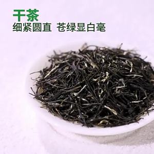 EFUTON TEA | Trà Xanh Hương Nụ Non Pre-Qing Ming Từ Xinyang